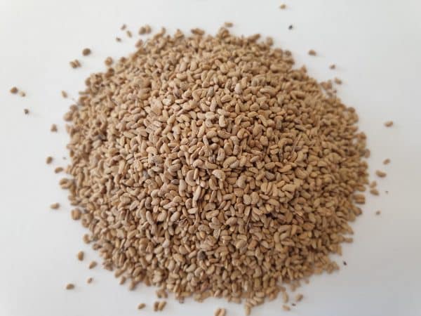 raspberry seed powder